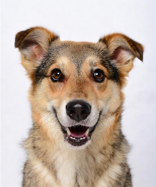 Biyometrik Fotoğraf